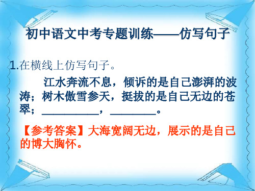 初中语文中考专题训练——仿写句子