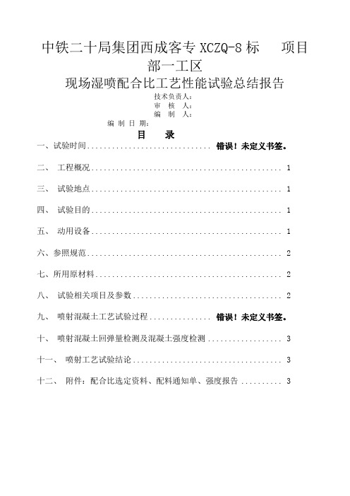 现场喷工艺性能试验总结报告