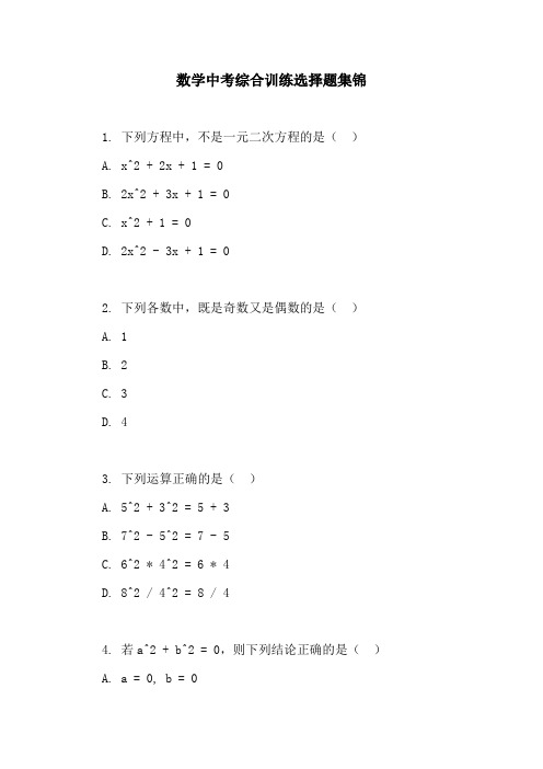 数学中考综合训练选择题集锦