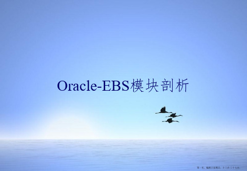 Oracle-EBS模块剖析