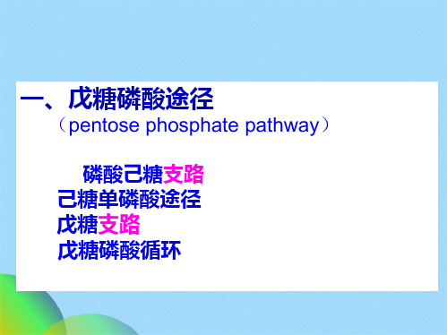 生物化学戊糖途径(共89张PPT)