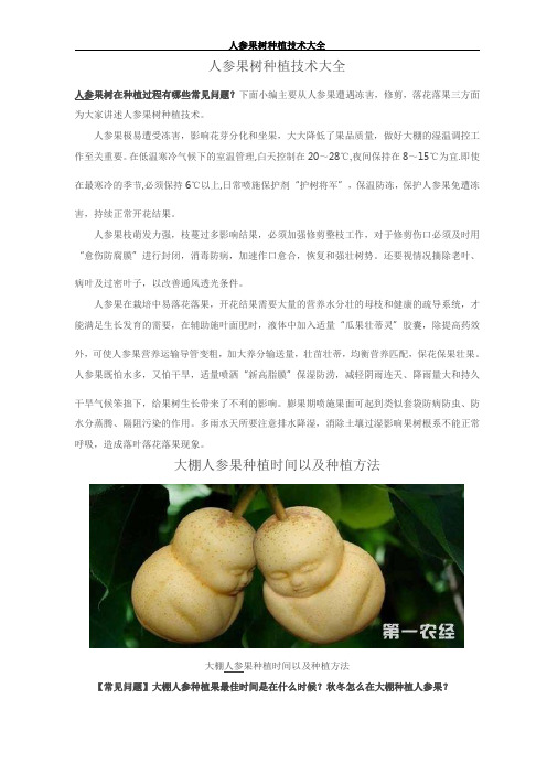 人参果树种植技术大全课件资料