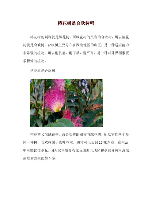 榕花树是合欢树吗