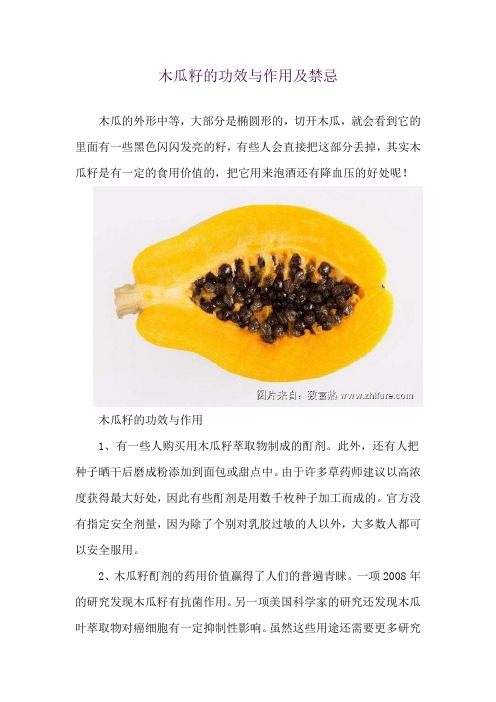 木瓜籽的功效与作用及禁忌