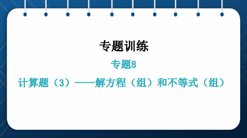 人教版2021中考数学总复习  专题8  计算题(3)——解方程(组)和不等式(组)