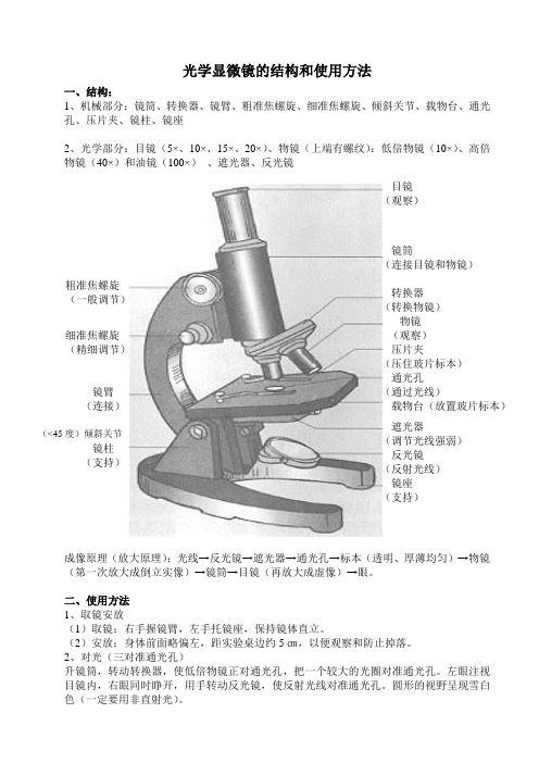 显微镜的结构和使用方法