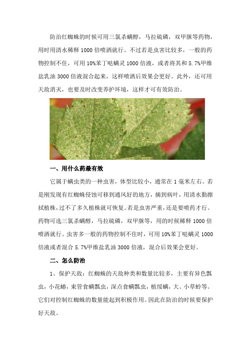 红蜘蛛用什么药最有效,怎么防治