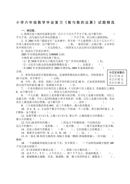 小学六年级数学毕业复习《数与数的运算》试题精选