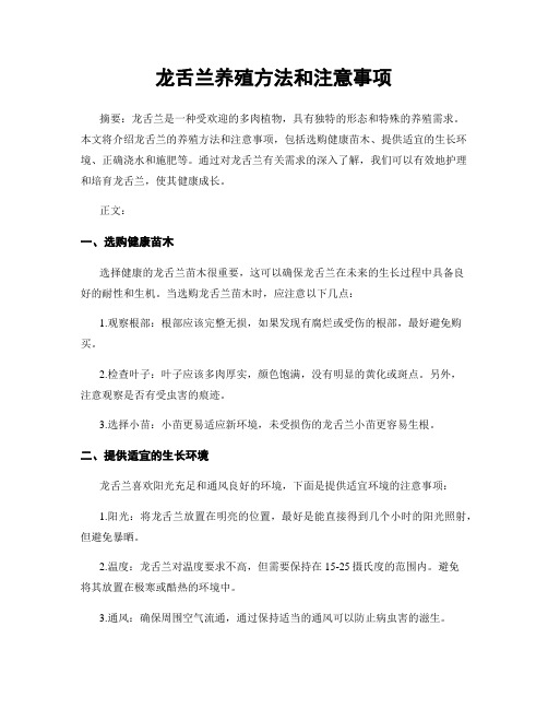 龙舌兰养殖方法和注意事项