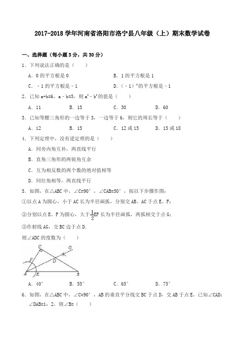 【名校版】洛阳市洛宁县八年级上期末数学试卷有答案