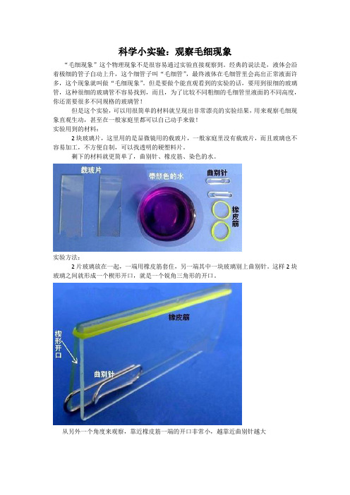 科学小实验：观察毛细现象