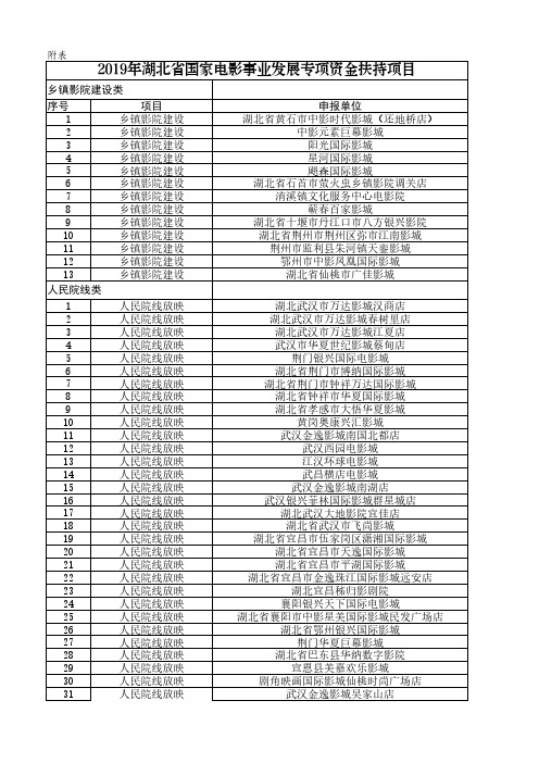 2019年湖北省国家电影事业发展专项资金扶持项目