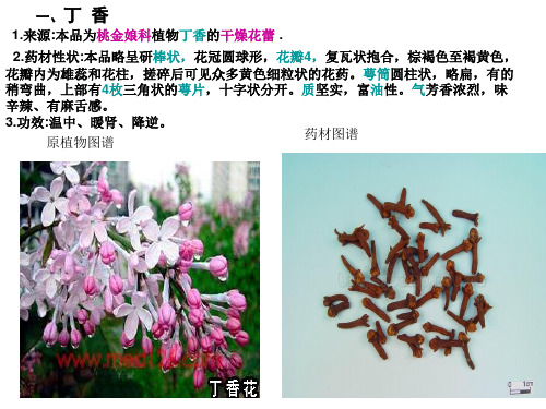 执业中药师考试新中药50种图片