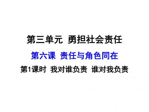 1.1 我对谁负责 谁对我负责课件1要使用