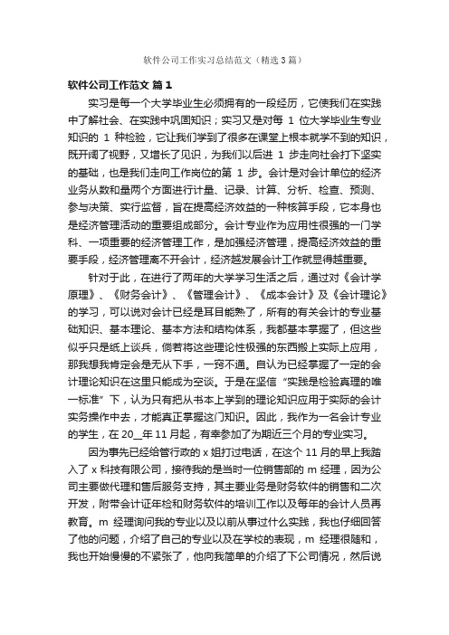 软件公司工作实习总结范文（精选3篇）