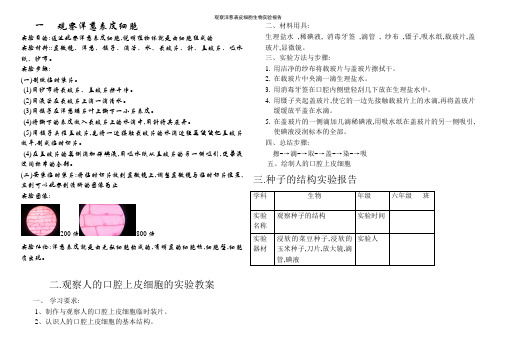 观察洋葱表皮细胞生物实验报告