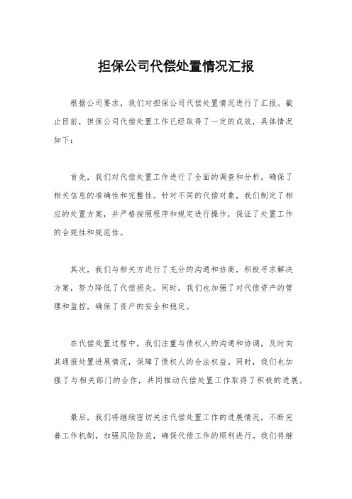 担保公司代偿处置情况汇报