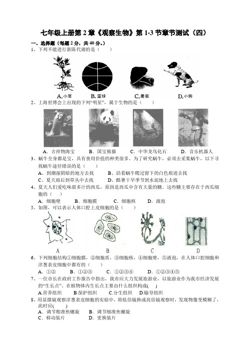 初中科学精品试卷及答案—七年级上册第2章《观察生物》第1至第3节章节测试卷(四)