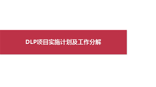 Symantec DLP数据防泄漏项目实施进度计划工作表及工作分解WBS