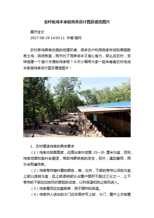 农村低成本家庭鸡舍设计图及建造图片