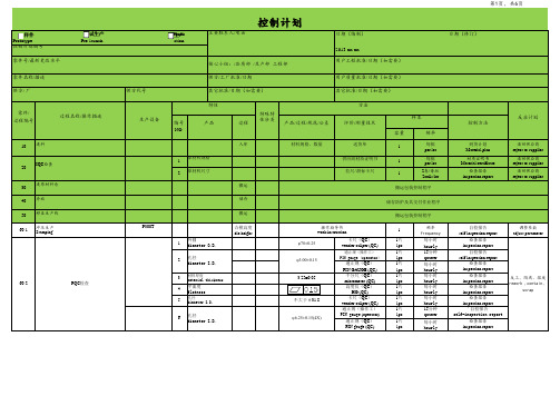 CP控制计划