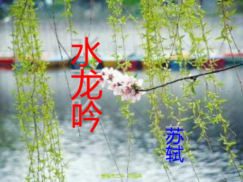 水龙吟(次韵章质夫杨花词)--2012