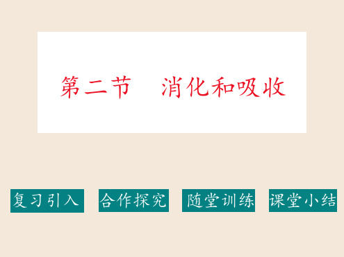 消化和吸收