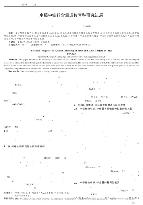 水稻中铁锌含量遗传育种研究进展