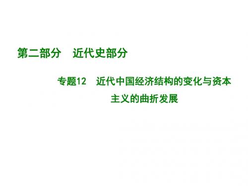 2019版高考历史A版一轮总复习课件：专题12.近代中国经济结构的变化与资本主义的曲折发展(共41张PPT)