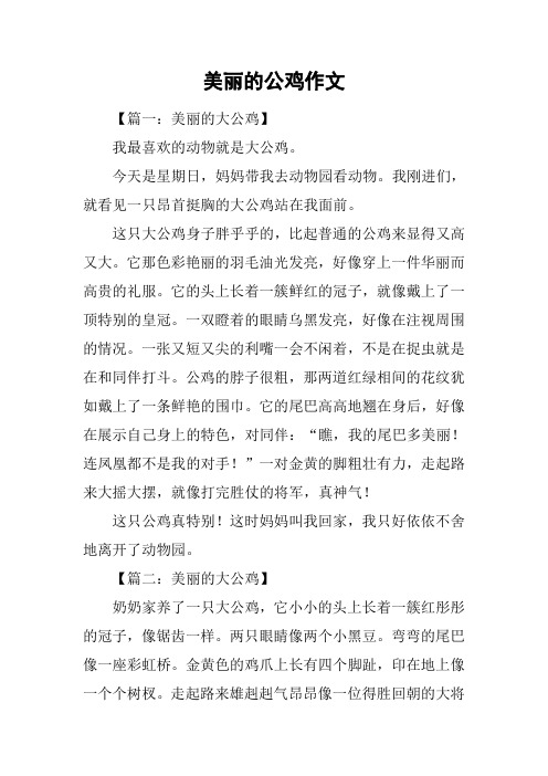 美丽的公鸡作文