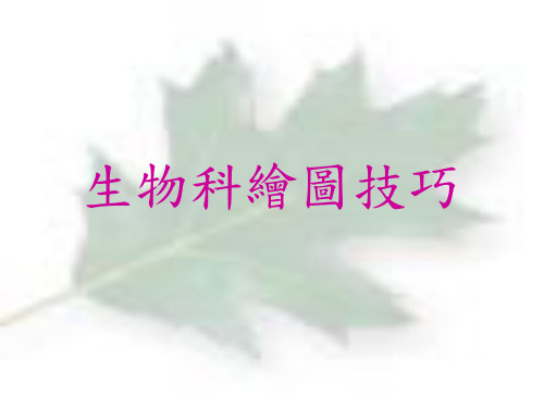 生物绘图技巧