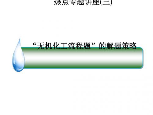 人教课标版  2017年高考一轮复习名师伴我行之热点专题讲座PPT(9份打包) 2