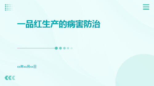 一品红生产的病害防治