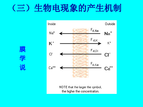 (三)生物电现象的产生机制