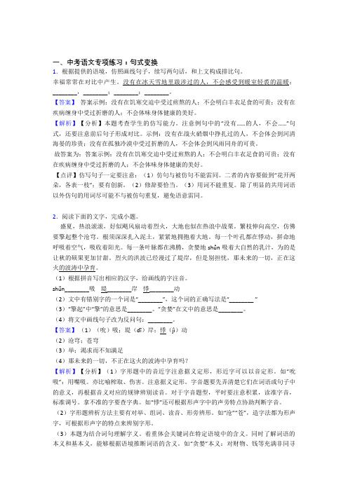 新中考 语文句式变换训练含答案