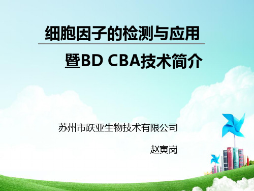 细胞因子的检测与应用CBAPPT课件