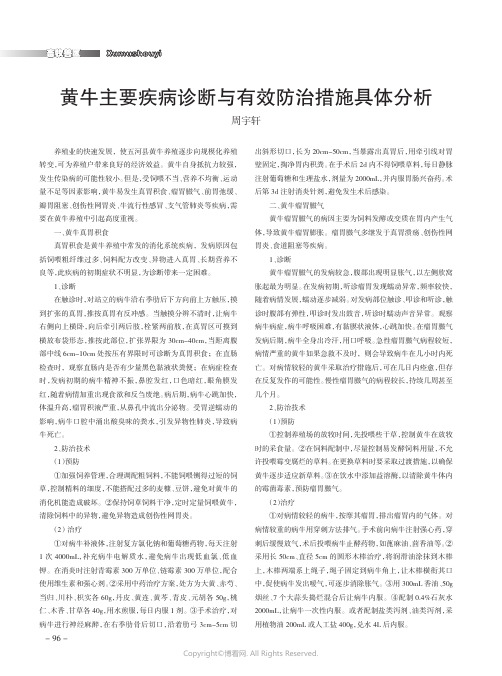 黄牛主要疾病诊断与有效防治措施具体分析