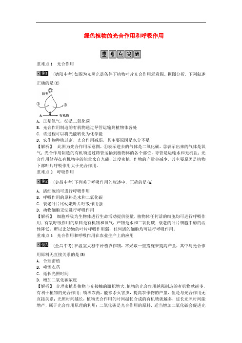 2019年中考生物总复习绿色植物的光合作用和呼吸作用考点及试题解析