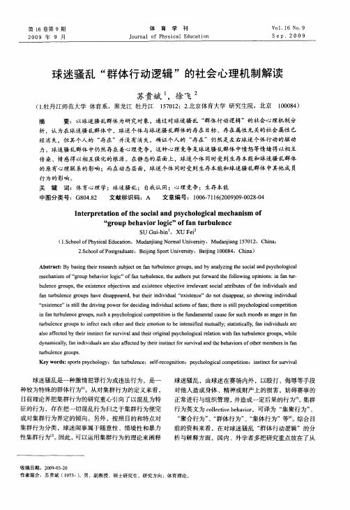 球迷骚乱“群体行动逻辑”的社会心理机制解读
