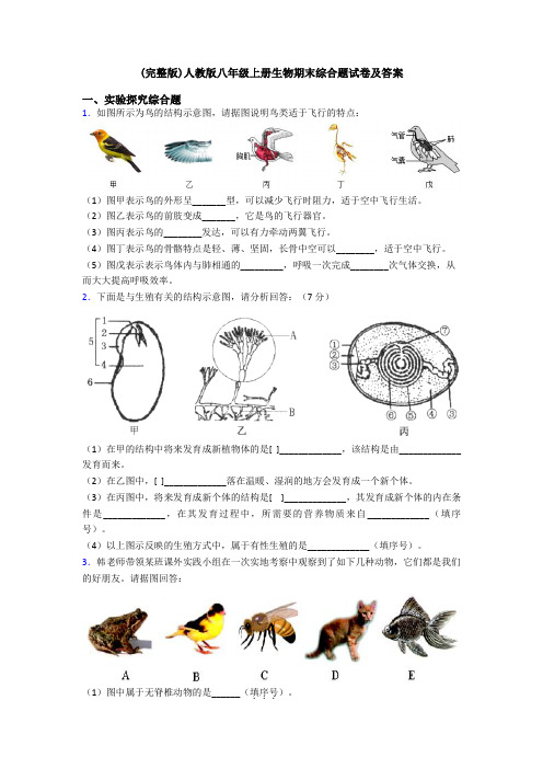 (完整版)人教版八年级上册生物期末综合题试卷及答案