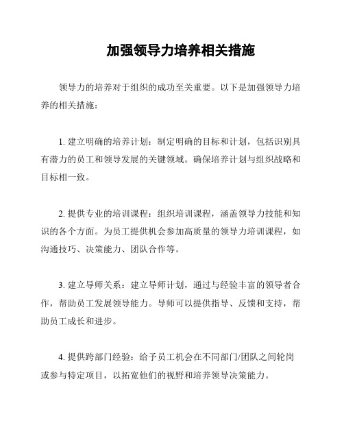 加强领导力培养相关措施