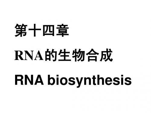 2012生化-14-RNA的生物合成