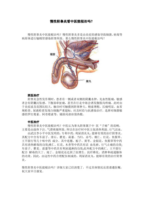 慢性附睾炎中医能根治吗?