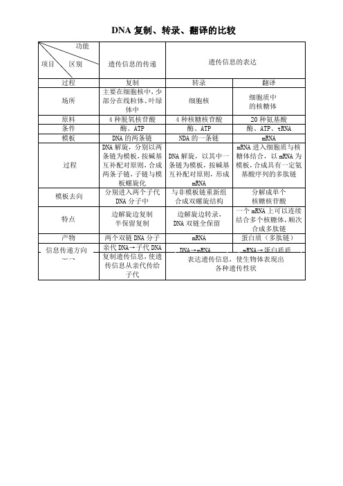 DNA复制、转录、翻译的比较