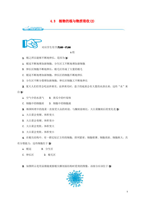 八年级科学下册4.3植物的根与物质吸收2同步练习新版浙教版