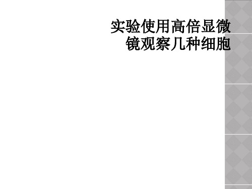 实验使用高倍显微镜观察几种细胞