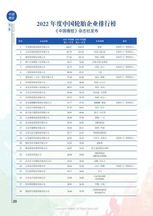 211170395_2022_年度中国轮胎企业排行榜