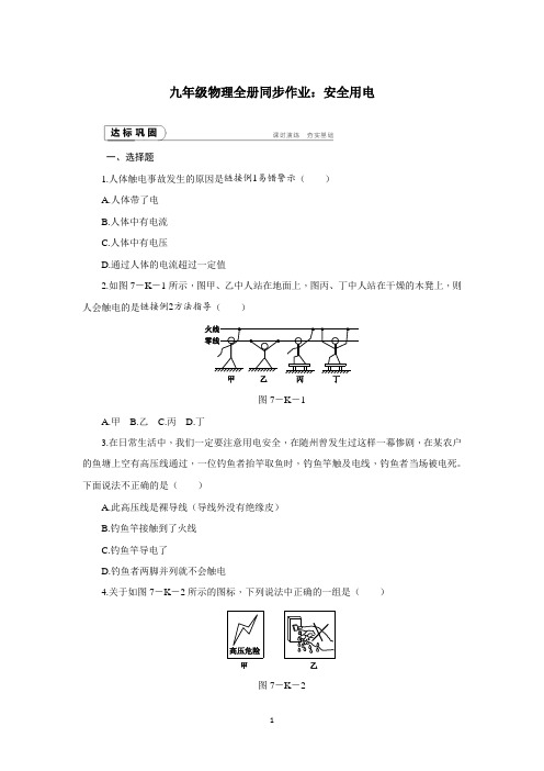 九年级物理全册同步作业：安全用电