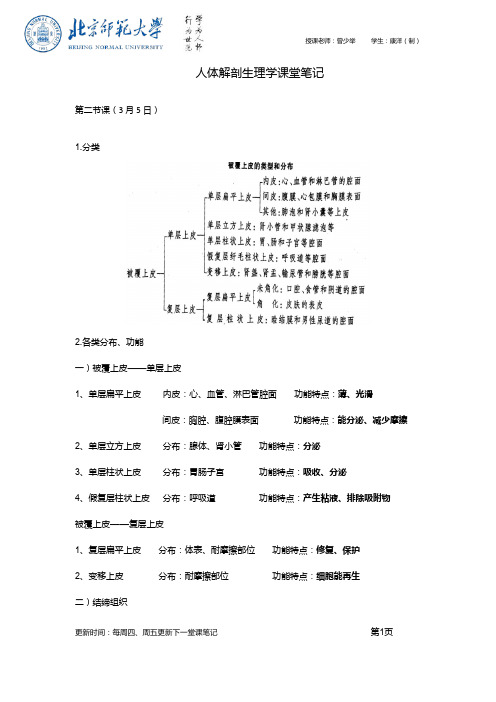 人体解剖生理学课堂笔记——第二节课