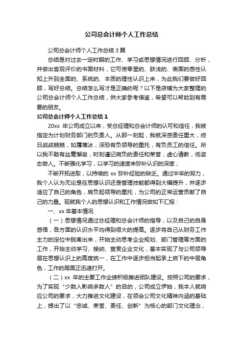 公司总会计师个人工作总结